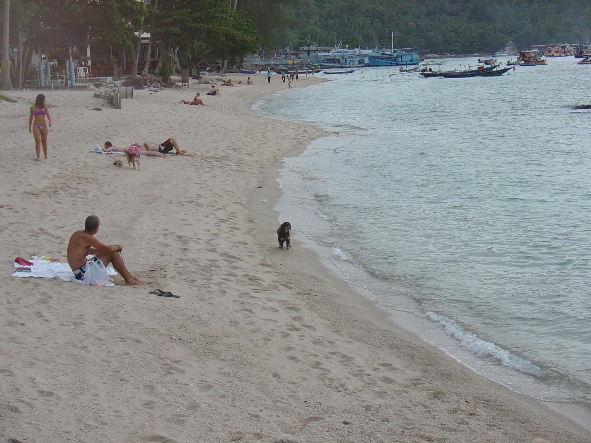 Queen Resort Ko Tao Exterior foto